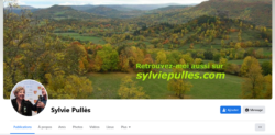Facebook officiel Sylvie Pullès